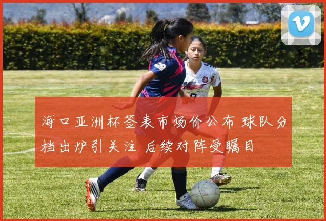 海口亚洲杯签表市场价公布 球队分档出炉引关注 后续对阵受瞩目