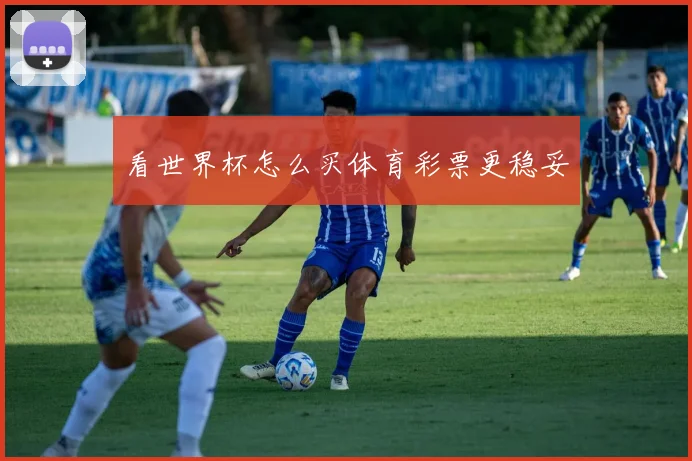 看世界杯怎么买体育彩票更稳妥