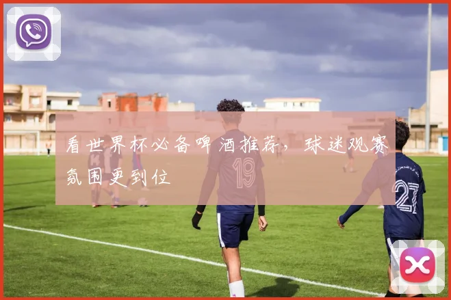 看世界杯必备啤酒推荐,球迷观赛氛围更到位