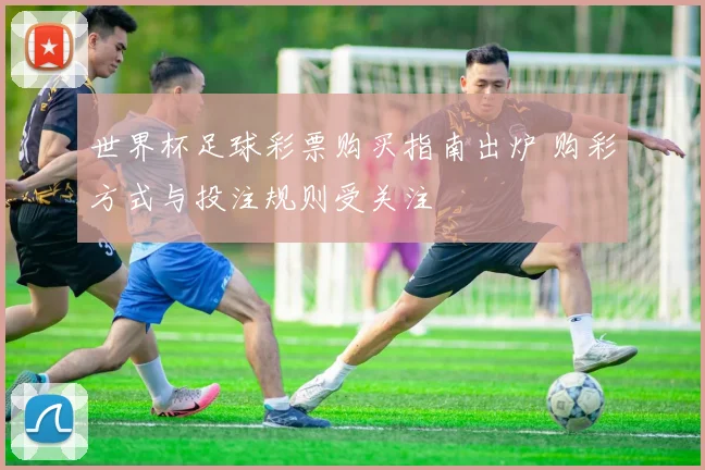 世界杯足球彩票购买指南出炉 购彩方式与投注规则受关注