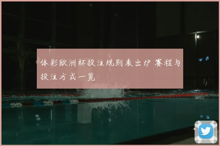 体彩欧洲杯投注规则表出炉 赛程与投注方式一览