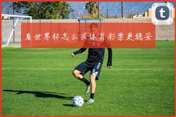 看世界杯怎么买体育彩票更稳妥